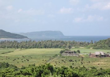 西表島の風景　沖縄の風景