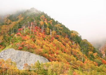 奥日光の紅葉風景　栃木の秋の風景