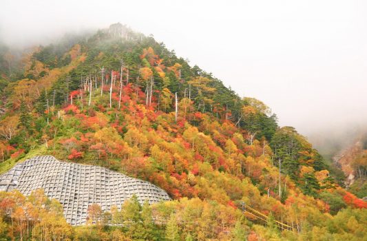 秋の奥日光　紅葉風景　栃木の風景