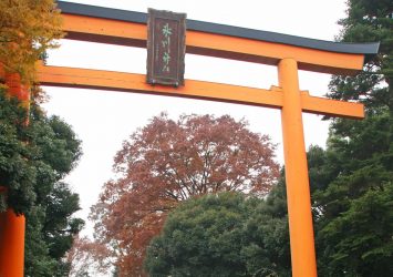 秋の川越氷川神社　埼玉の風景