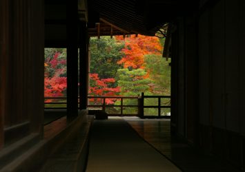 秋の京都　紅葉の天龍寺　京都の風景