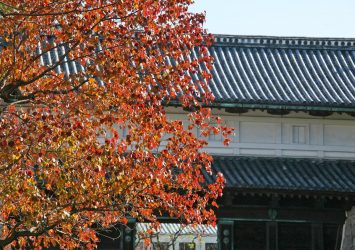秋の佐賀城　佐賀の風景