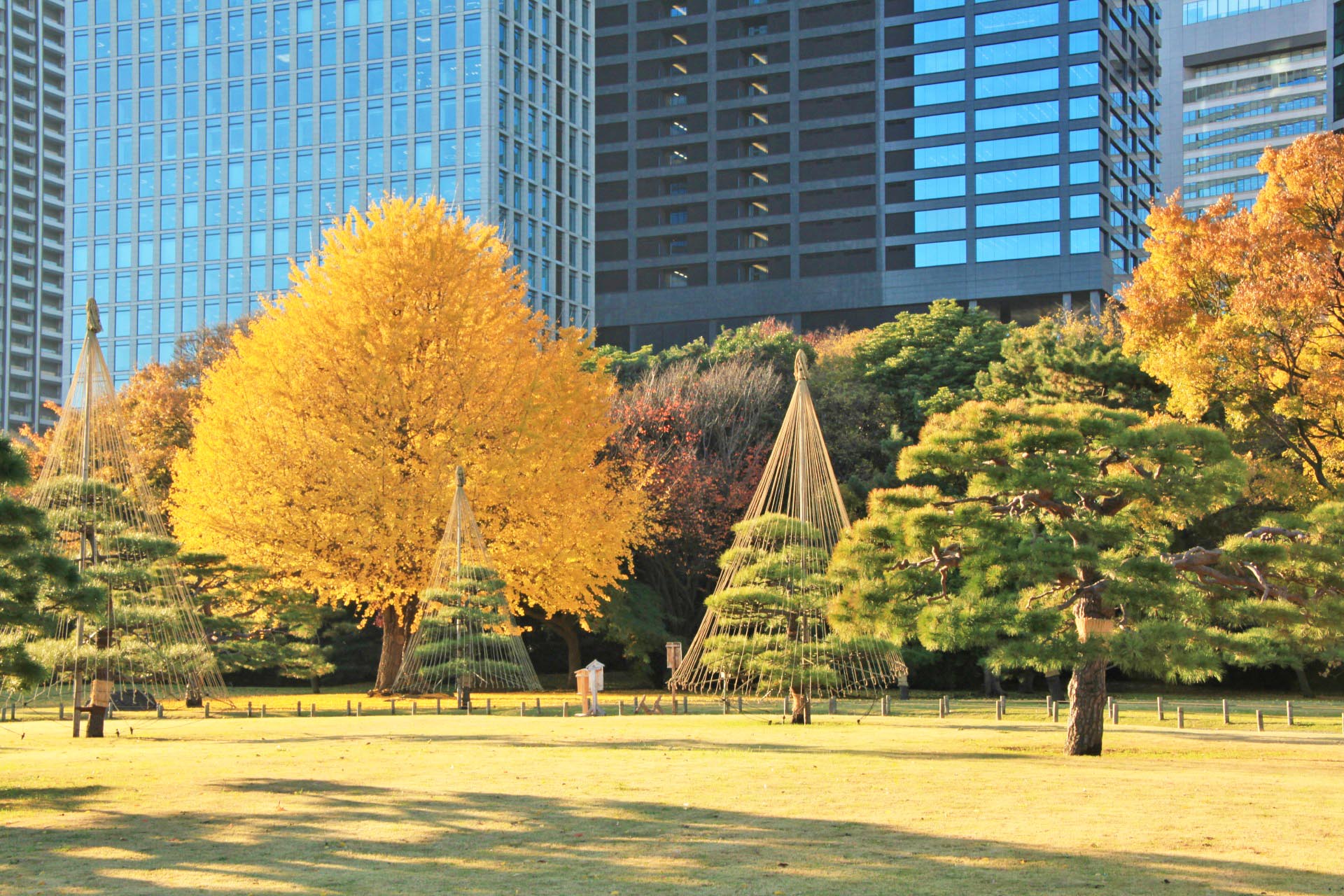 秋の浜離宮　東京の秋の風景