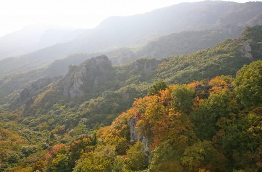 秋の寒霞渓　小豆島　香川の秋の風景