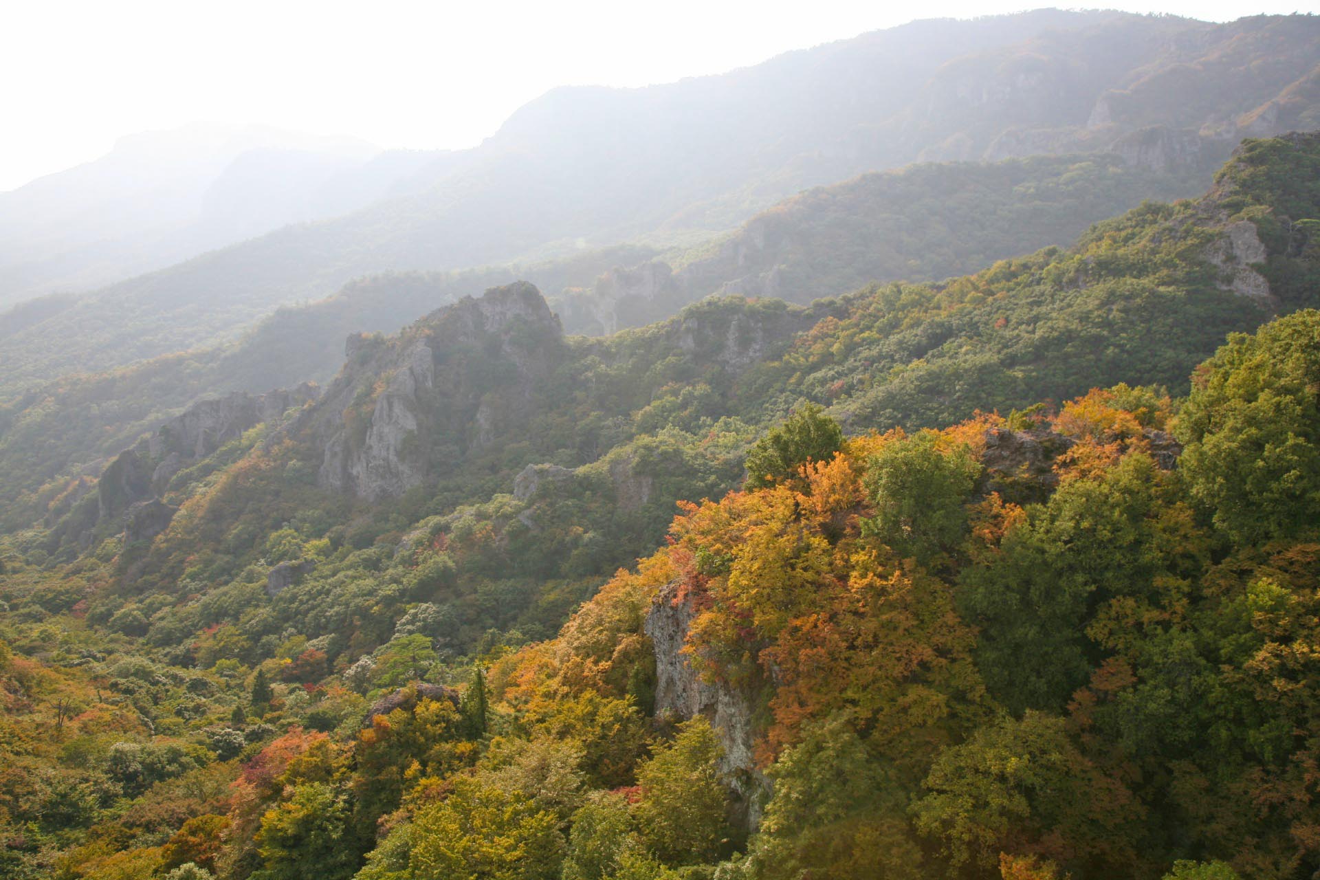 秋の小豆島　寒霞渓　香川の秋の風景