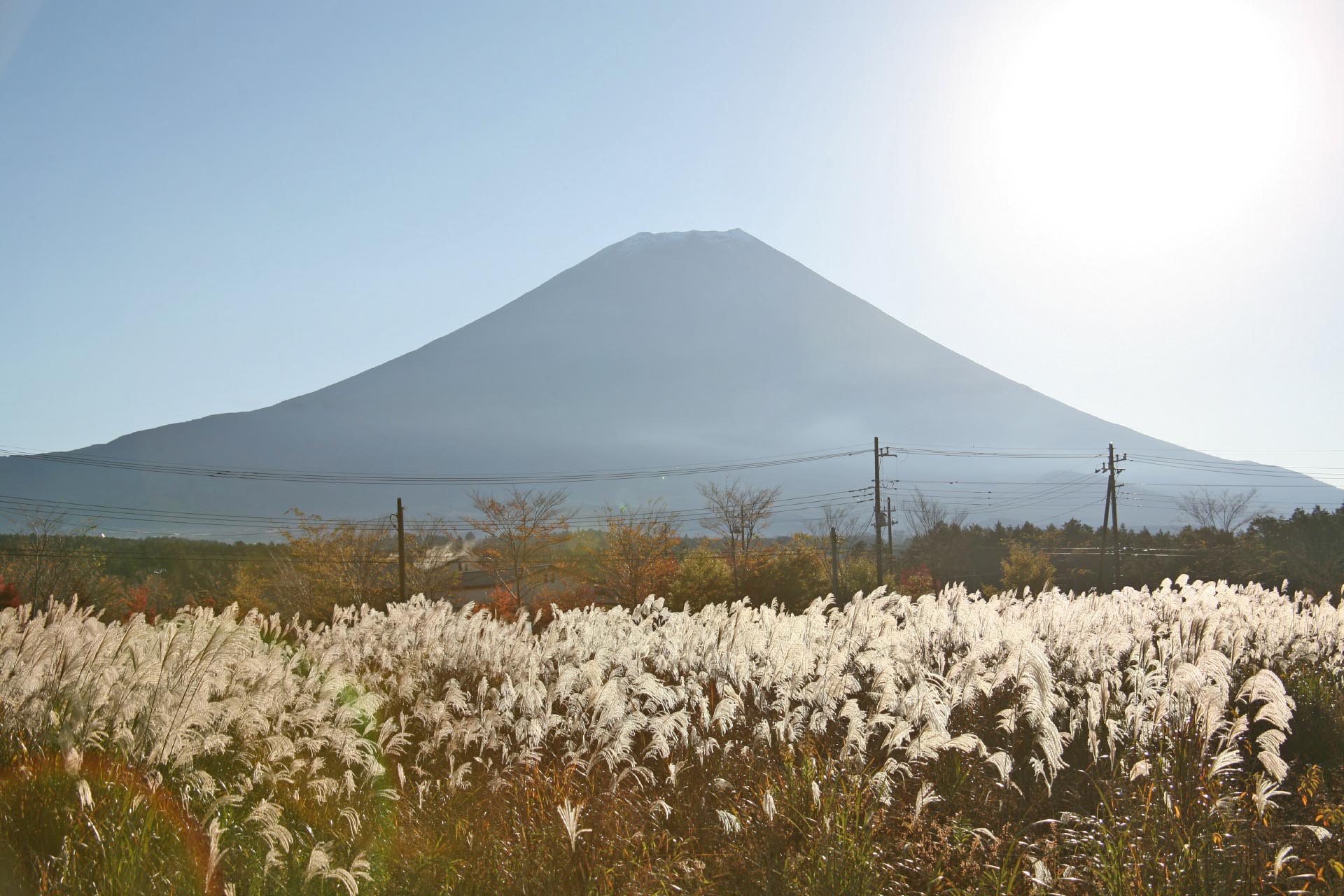 秋の富士山とススキの風景　静岡の風景