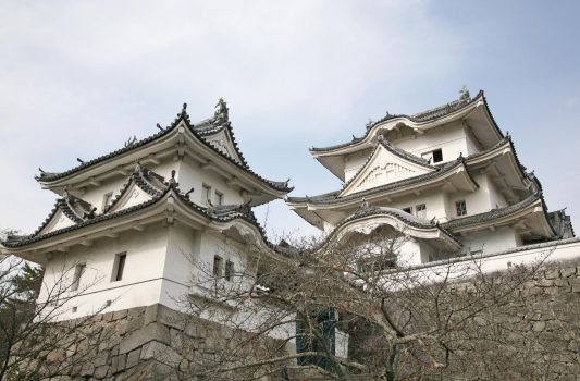 伊賀上野城　三重の風景