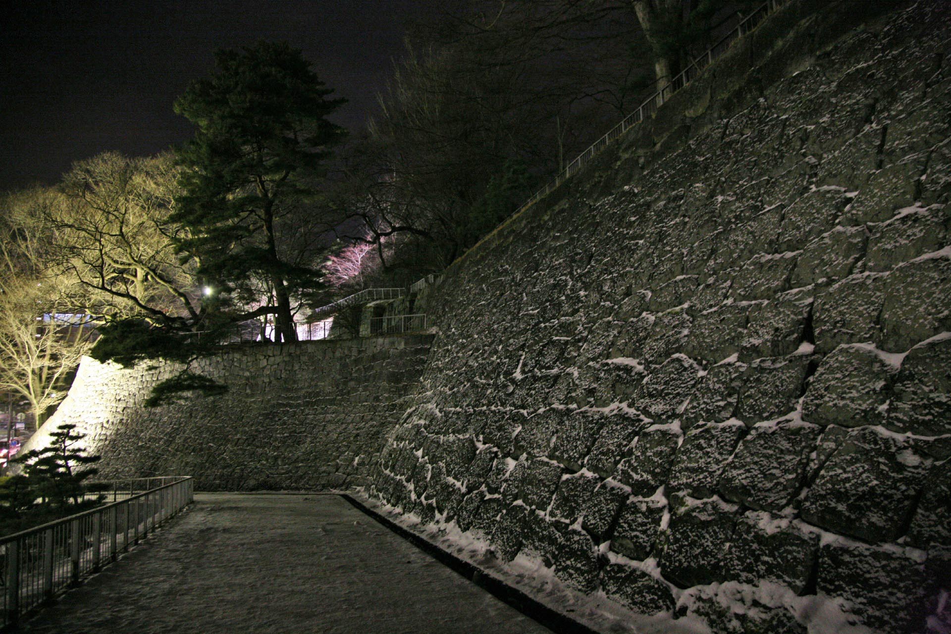 雪の夜の盛岡城　岩手の風景