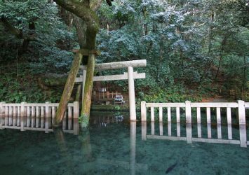 鹿島神宮　御手洗池の風景　茨城の風景
