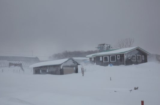 真冬の北海道　雪の中の家