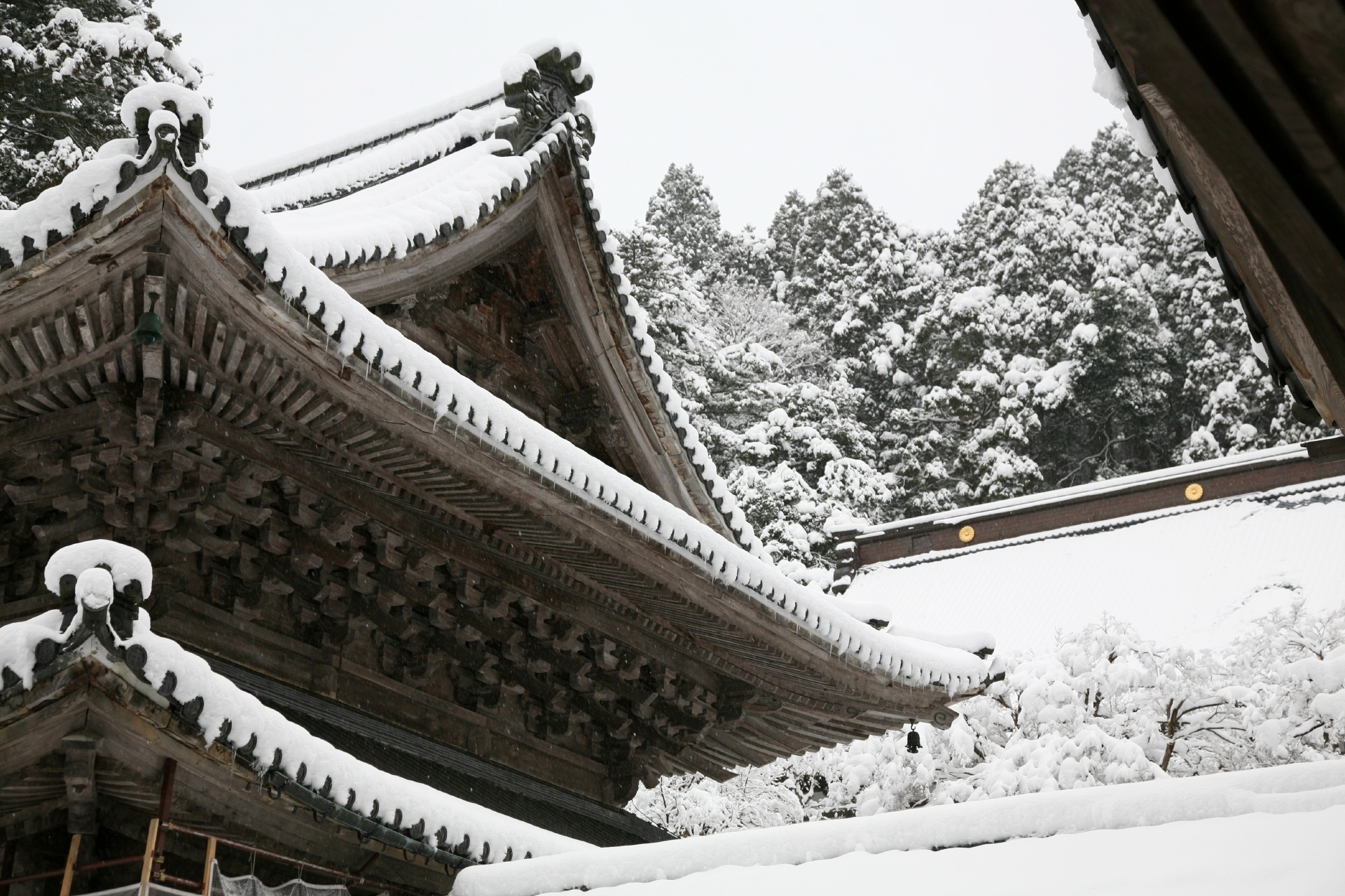 雪の中の永平寺　福井の風景