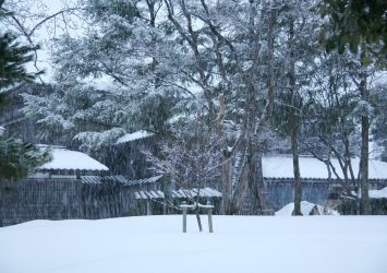 雪の関川村　新潟の冬の絶景