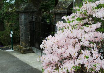 春の強羅公園　神奈川の風景