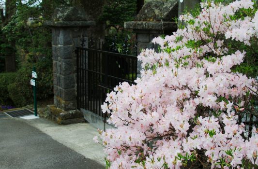 春の強羅公園　神奈川の風景