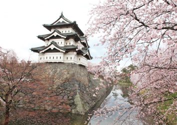 春の青森　桜と弘前城　青森の風景