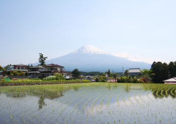 初夏の富士山　静岡の風景