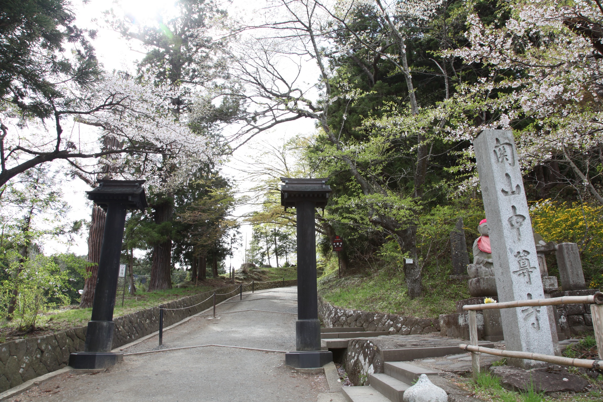 平泉中尊寺　岩手の春の風景