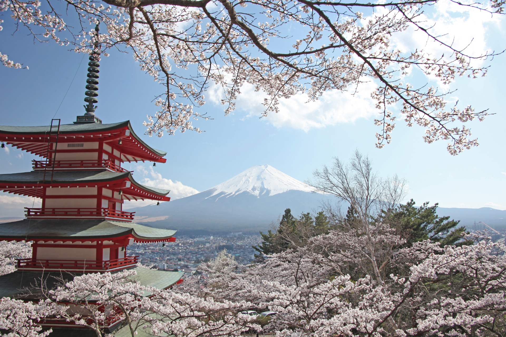 富士山と桜と新倉富士浅間神社　山梨の風景