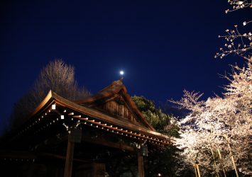 夜の靖国神社　満月と夜桜　東京の春の風景