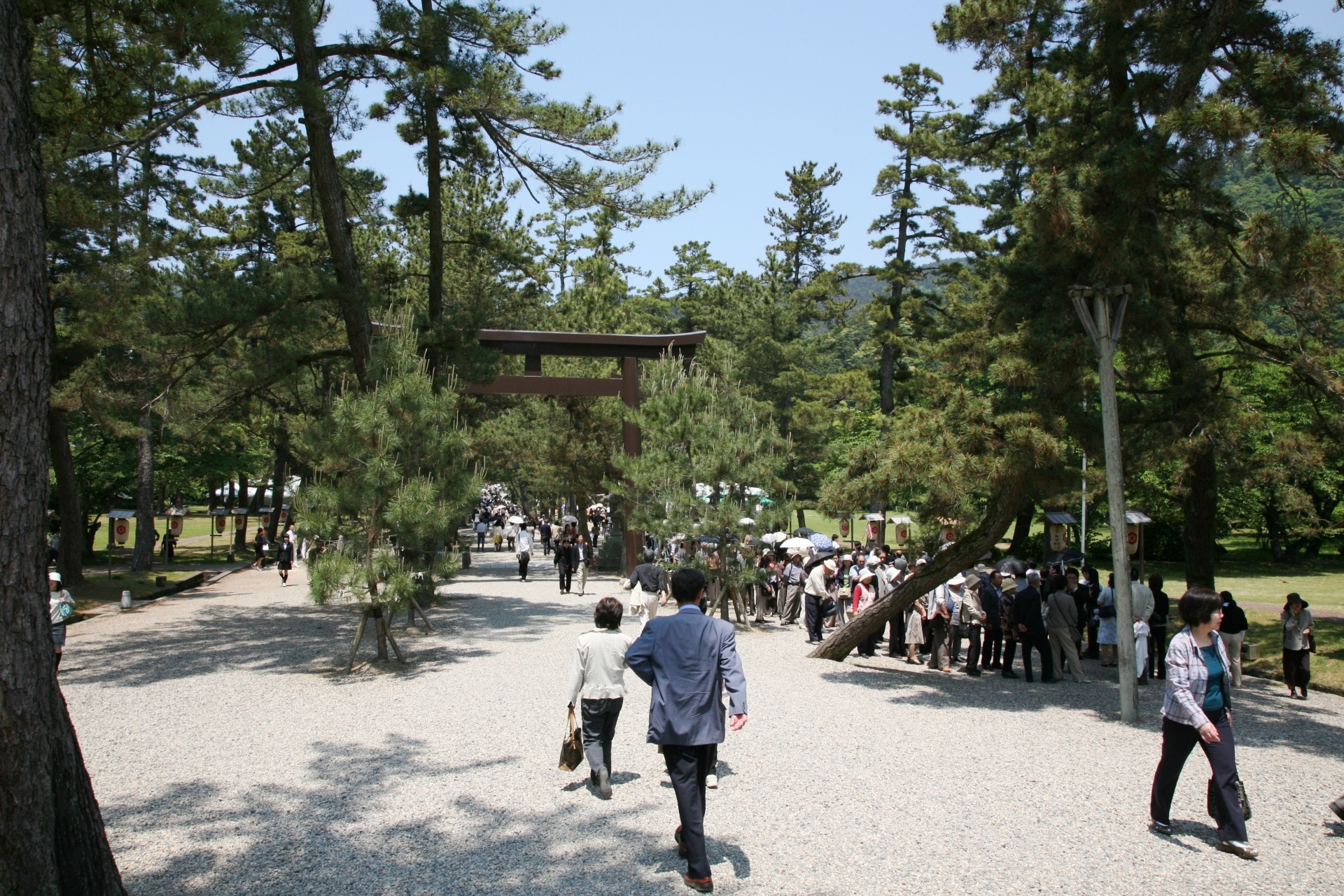 五月の出雲大社　島根の風景　日本の風景