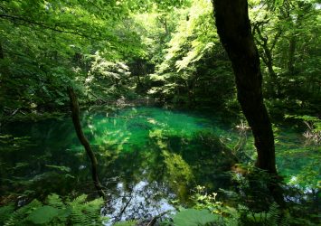 新緑の十二湖　青森の風景