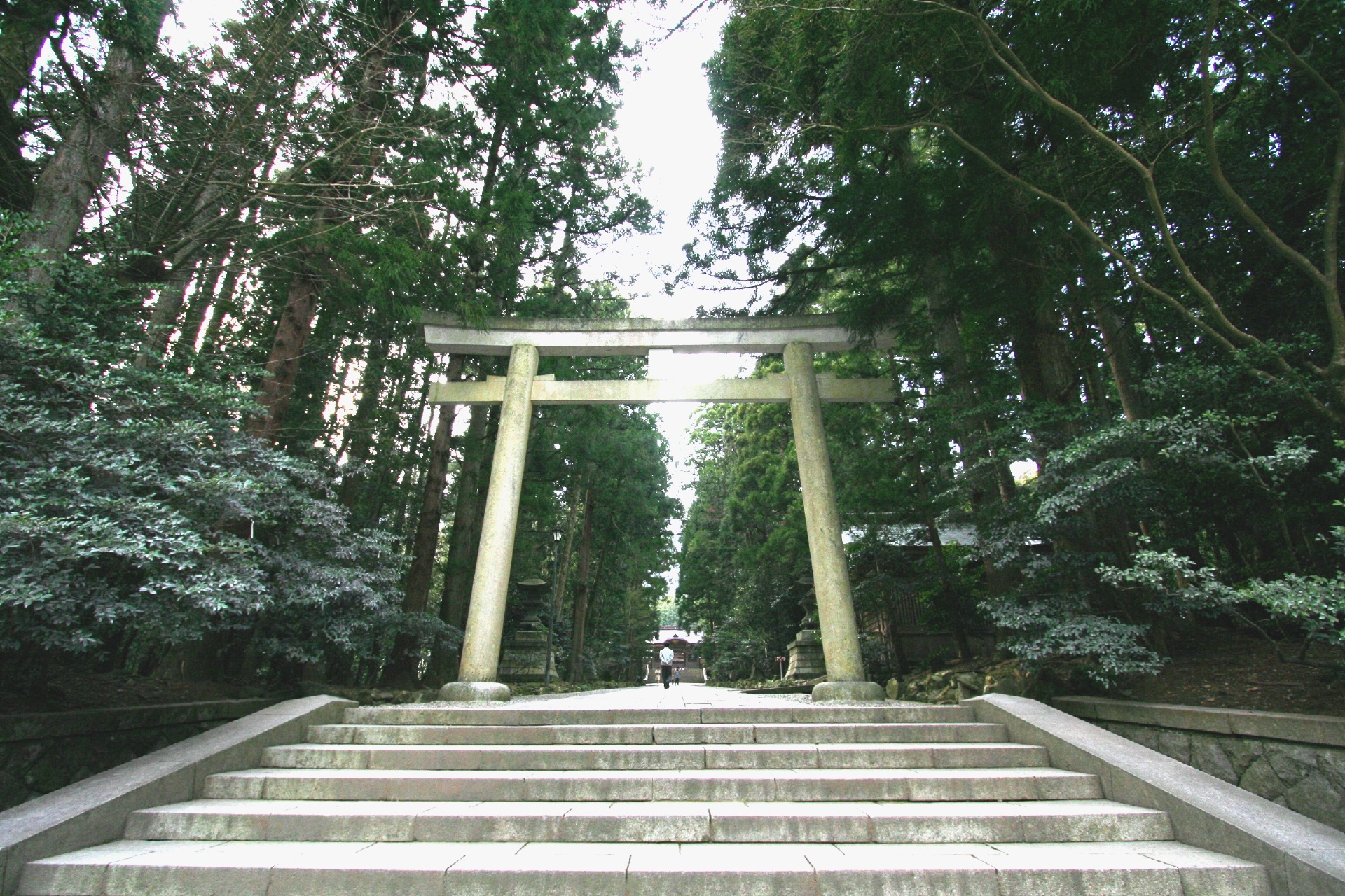 弥彦神社　新潟の風景