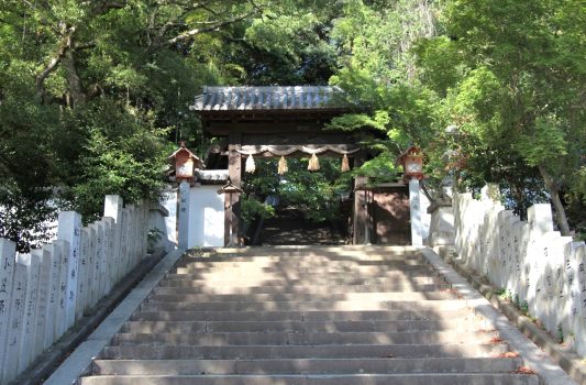 愛媛　松山「東雲神社」　夏の愛媛の風景