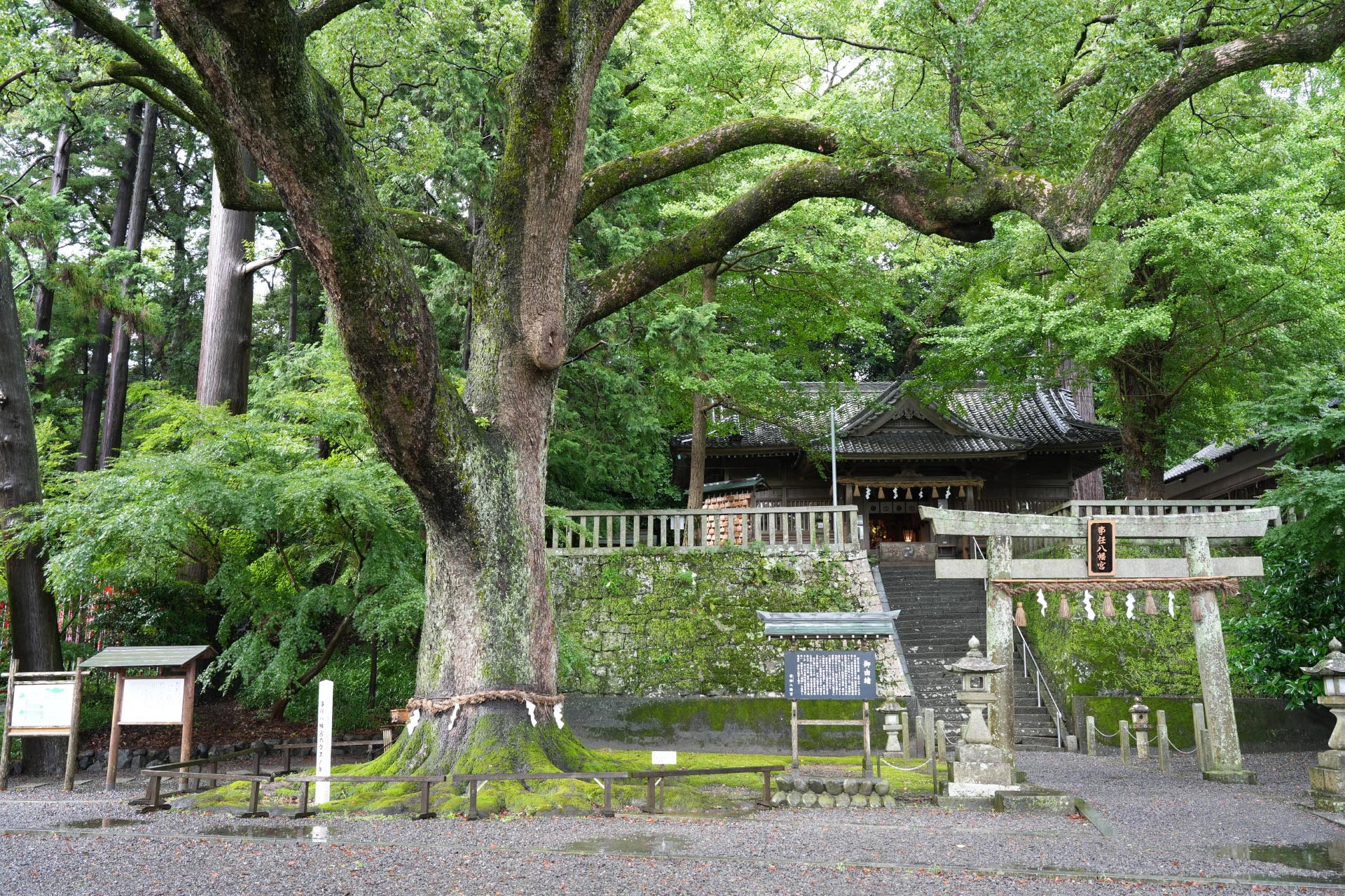 事任八幡宮　静岡の風景