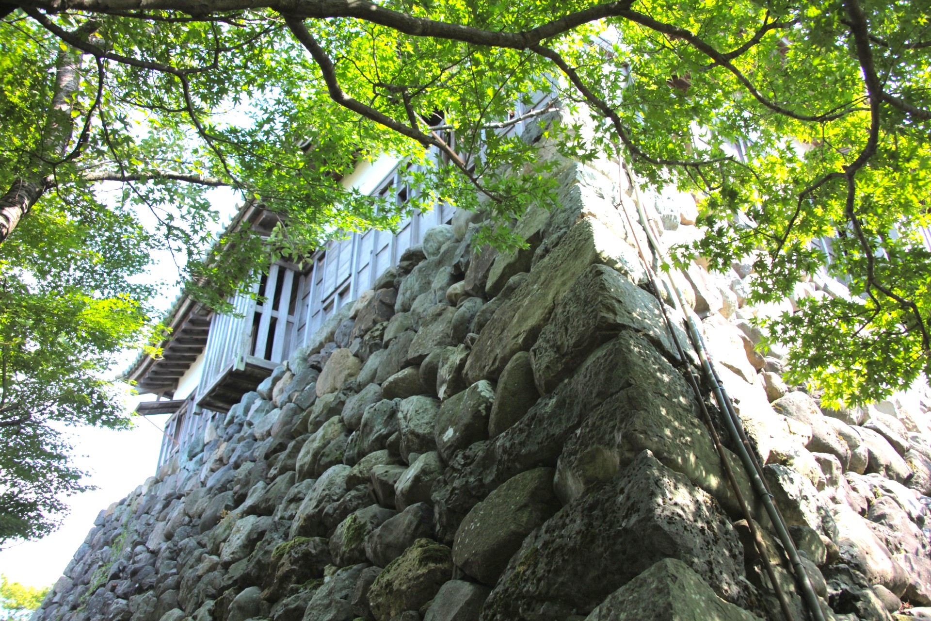 丸岡城の風景　福井の風景