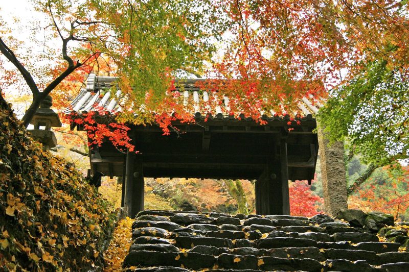 秋の秋月城の風景 福岡の風景 | JAPAN WEB MAGAZINE 「日本の風景」 JAPAN SCENE