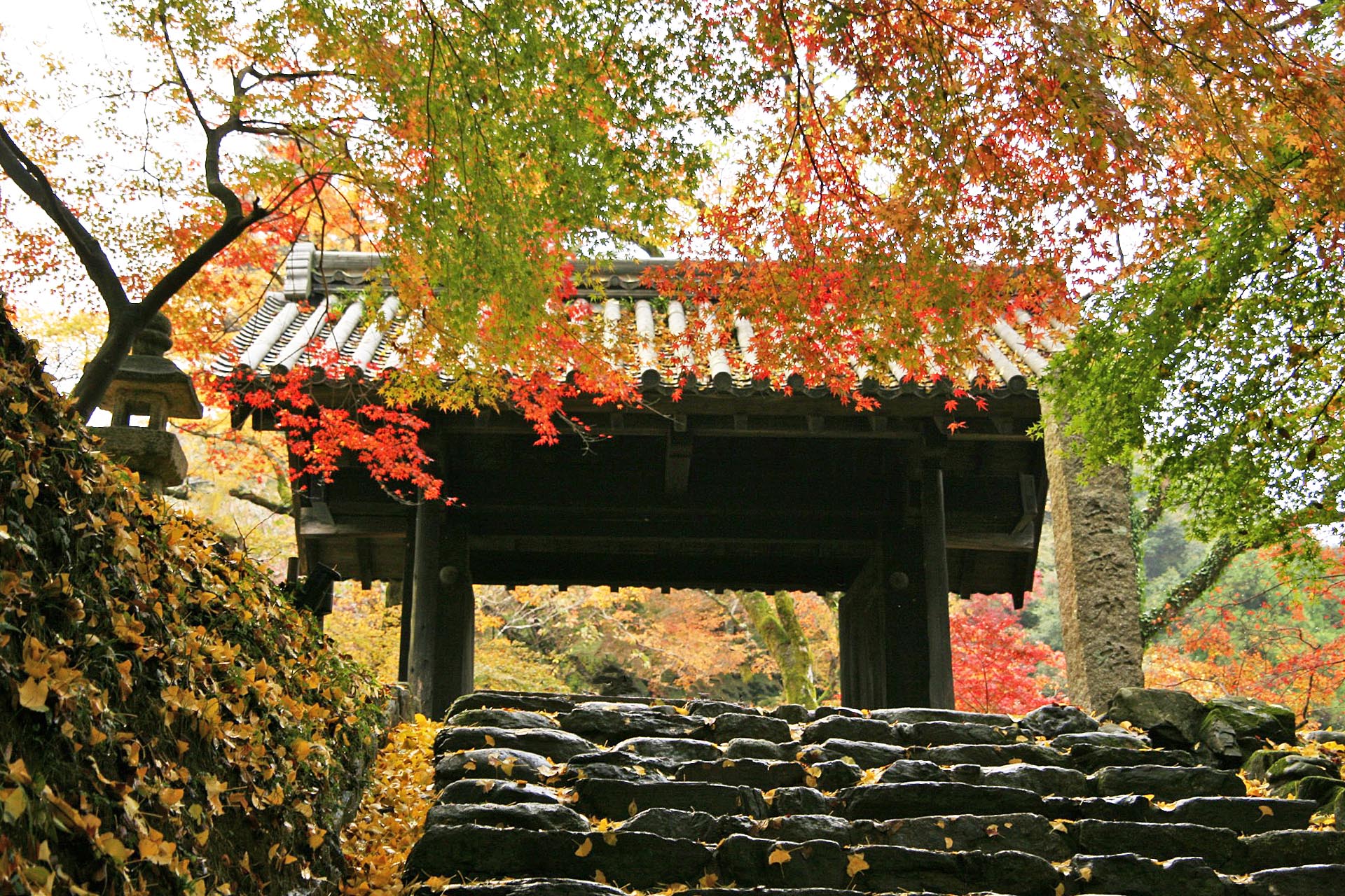 秋の秋月城の風景　福岡の風景