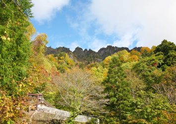 秋の戸隠神社 奥社　長野の風景