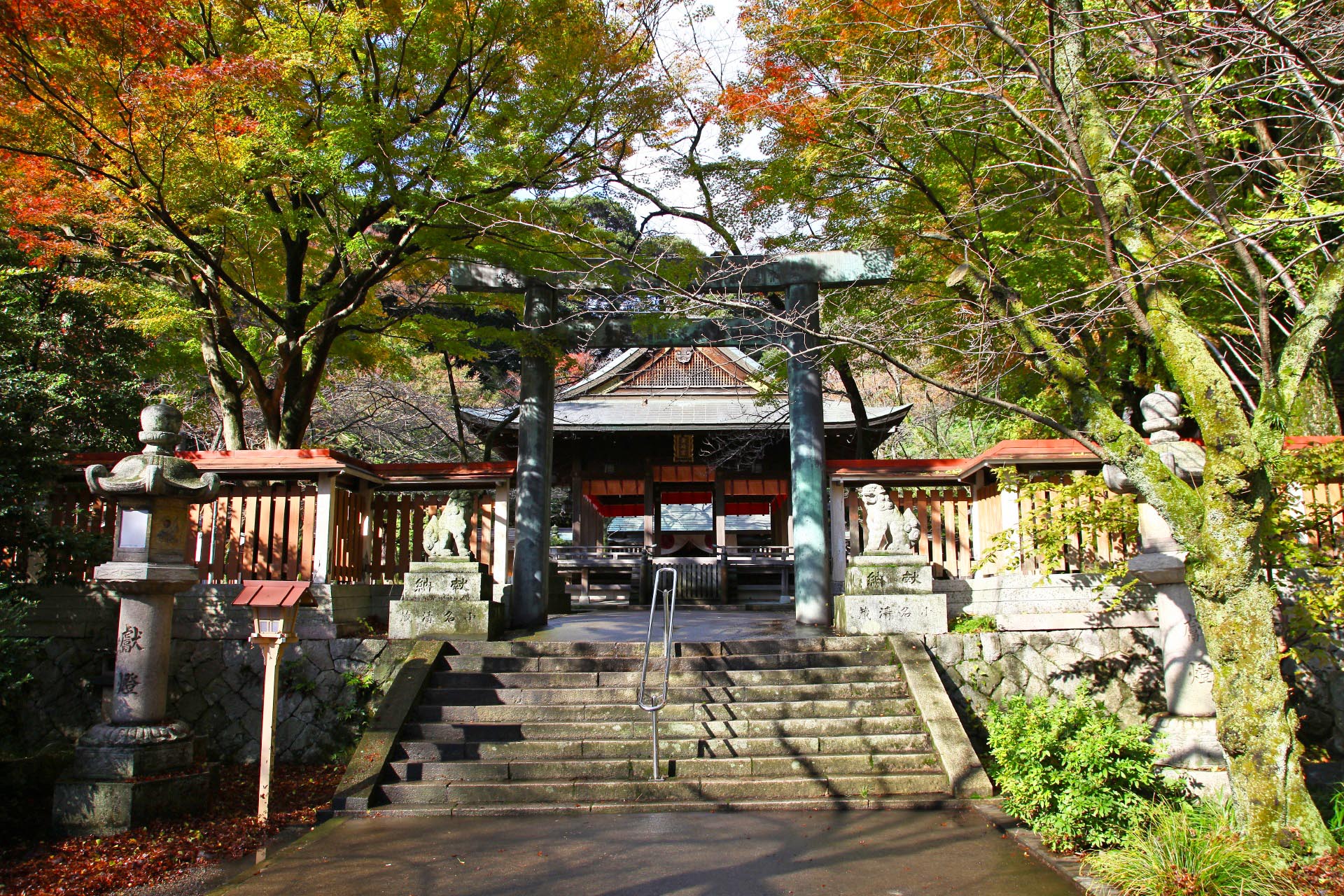 秋の金崎宮　福井の風景