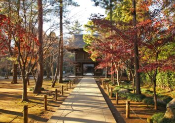 平林寺の紅葉の風景　埼玉の風景