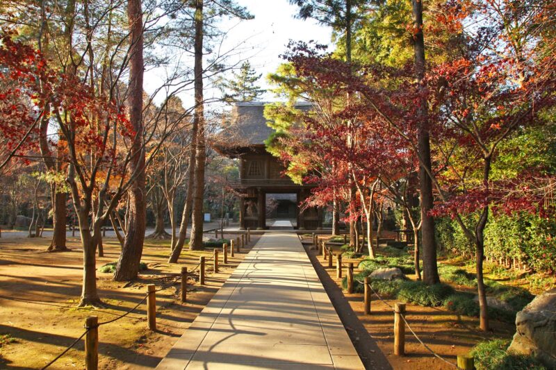 平林寺の紅葉の風景 埼玉の風景 JAPAN WEB MAGAZINE 「日本の風景」 JAPAN SCENE