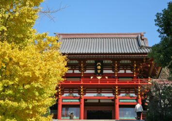 十二月の鎌倉　鶴岡八幡宮　神奈川の風景