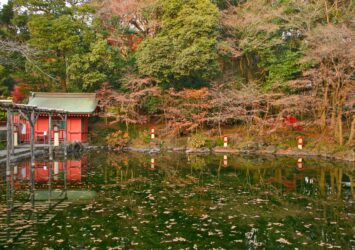 秋の湧玉池　富士山本宮浅間大社　静岡の風景
