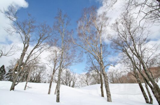 冬の鹿俣山　群馬の風景