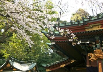 春の王子神社　東京の風景