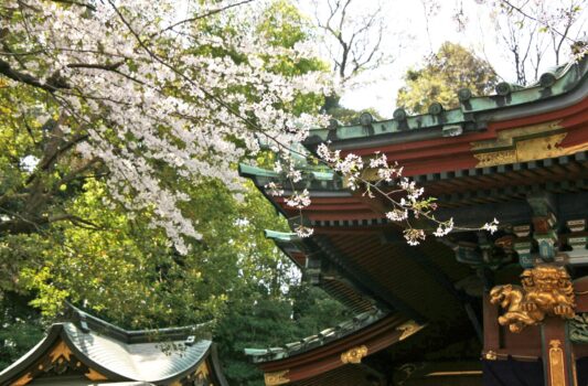 春の王子神社　東京の風景
