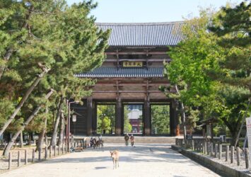 東大寺の風景　奈良の風景