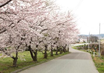 春の五城目町　秋田の風景