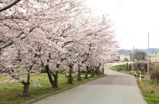 春の五城目町　秋田の風景