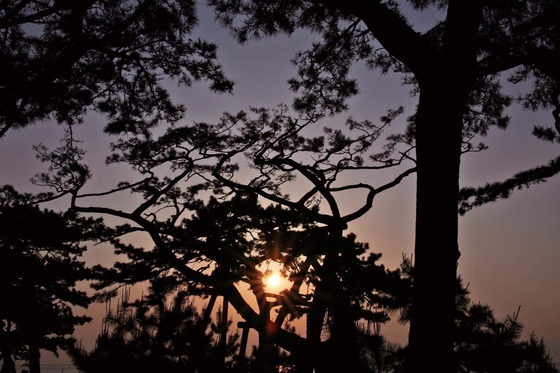 三保松原の日の出　静岡の風景