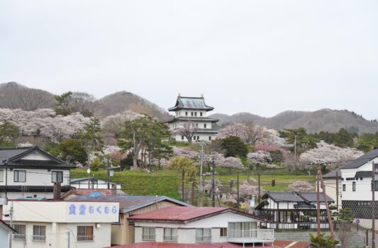 春の北海道　桜と松前城　北海道の風景