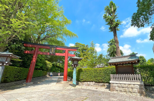 根津神社　東京の夏の風景