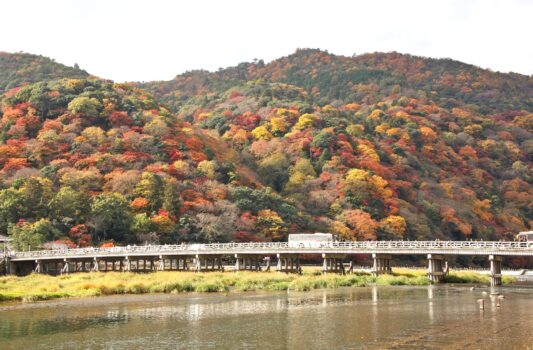 京都・嵐山の紅葉風景　京都の秋の風景