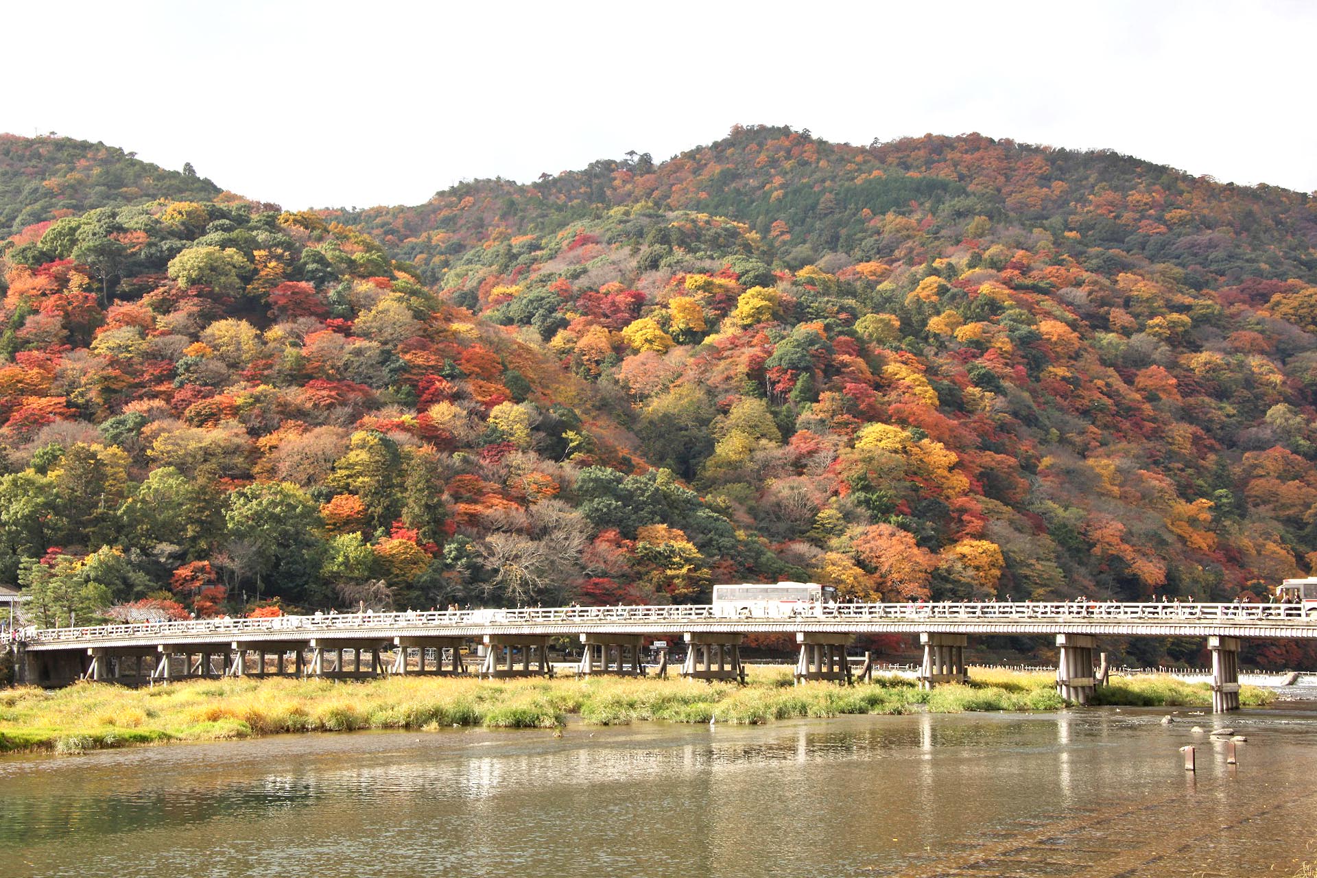 「錦秋」　京都・嵐山の紅葉風景　京都の秋の風景