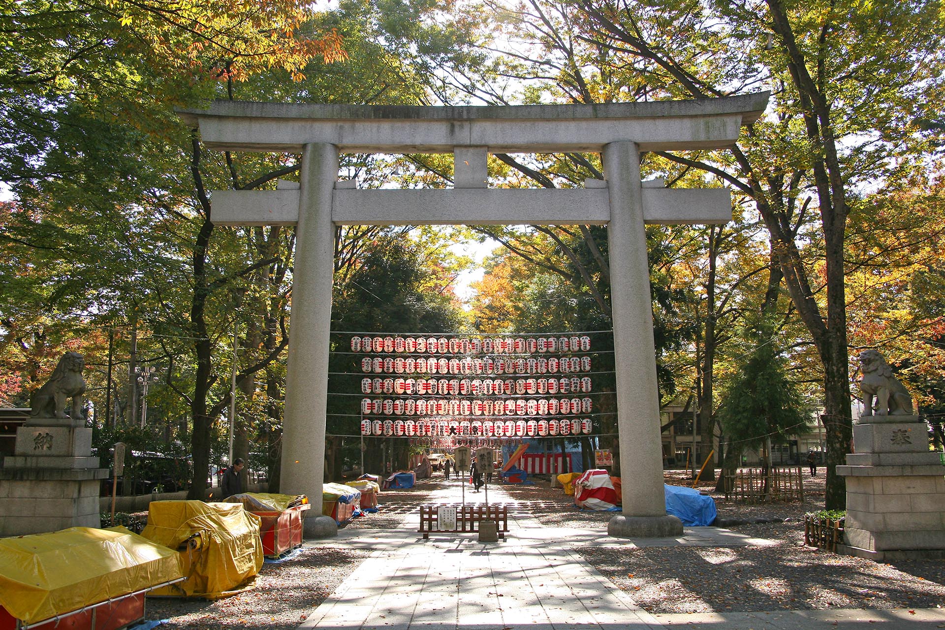 秋の大國魂神社　東京の風景