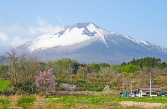 桜と岩手山　八幡平　岩手の春の風景